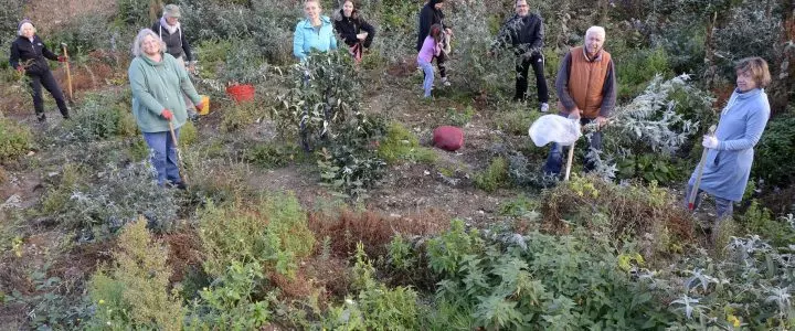 Aktion Pflanzen retten