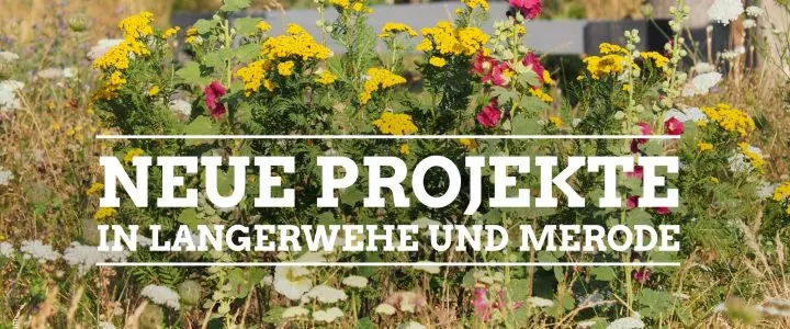 Neue Projekte in Langerwehe und Merode